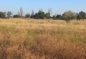 Продается земельный участок 10 соток в селе Широкино