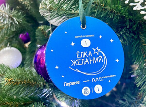 Дети ДНР могут поучаствовать в акции «Елка желаний»