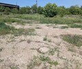 Сдается участок