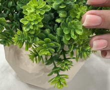 Студия красоты    Юзефа beauty