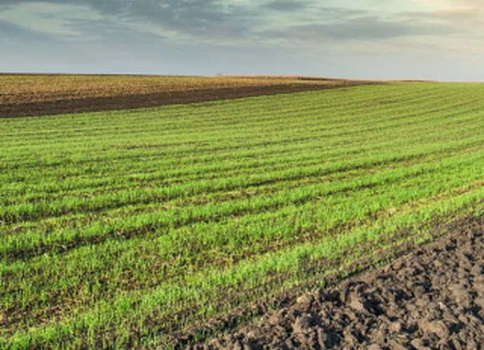 Продается земельный участок