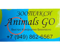 Зоотакси ANIMALS GO 