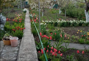 Продается ухоженный земельный участок с дачей