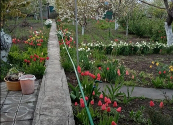 Продается ухоженный земельный участок с дачей