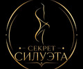 Студия аппаратной коррекции фигуры Секрет силуэта на пр. Металлургов