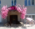 Студия красивых людей SKL на пр. Металлургов