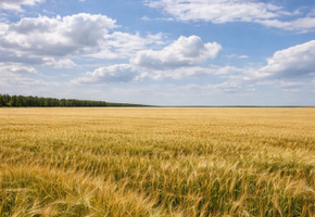 Продается земельный участок в Волновахском районе