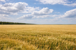 Продается земельный участок в Волновахском районе