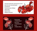 Похоронная служба Гвоздика
