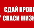 Сдай кровь — спаси жизнь! Донецкая епархия приглашает к участию в донорской акции