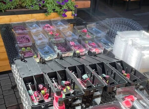 Дезинфенкция Дезинсекция Дератизация в Мариуполе. ЮР лицам скидка!