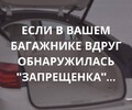 Если в багажнике вашего авто вдруг обнаружилась запрещенка...