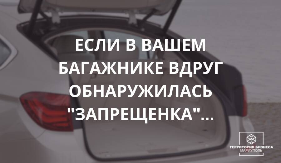 Если в багажнике вашего авто вдруг обнаружилась запрещенка...