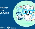 Как подготовиться к ЕГЭ бесплатно и без репетитора?