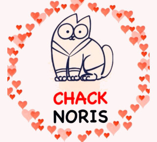 Chack Noris на пр. Строителей