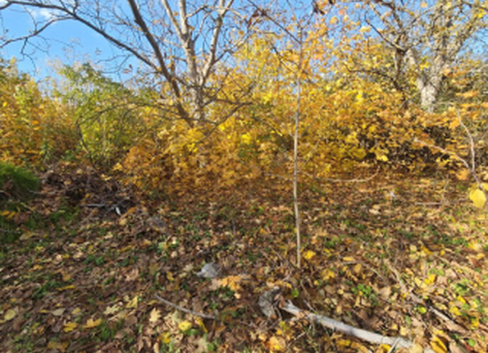 Продается дачный участок