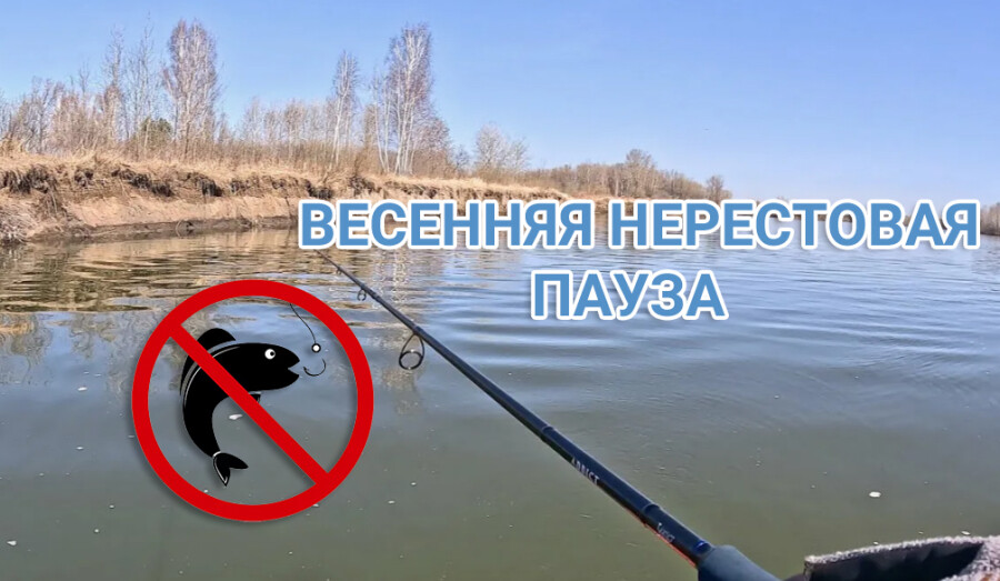 с 1 апреля в ДНР вводится запрет на любительский лов на внутренних водоемах.