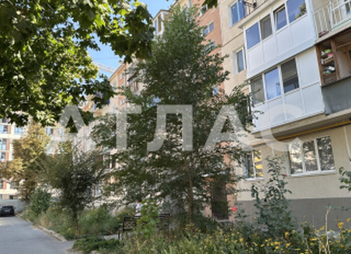 1-к квартира, 5/5 этаж, 30,3м², арт. 143174803