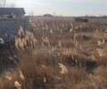 Продается участок