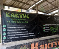 Салон красоты КАКТУС на пр. Металлургов