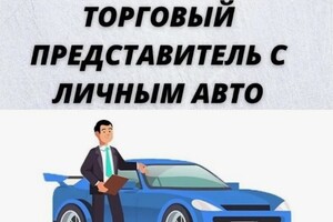 Торговый представитель с авто на Мариуполь