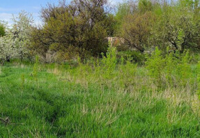 Продается участок в Приморском районе