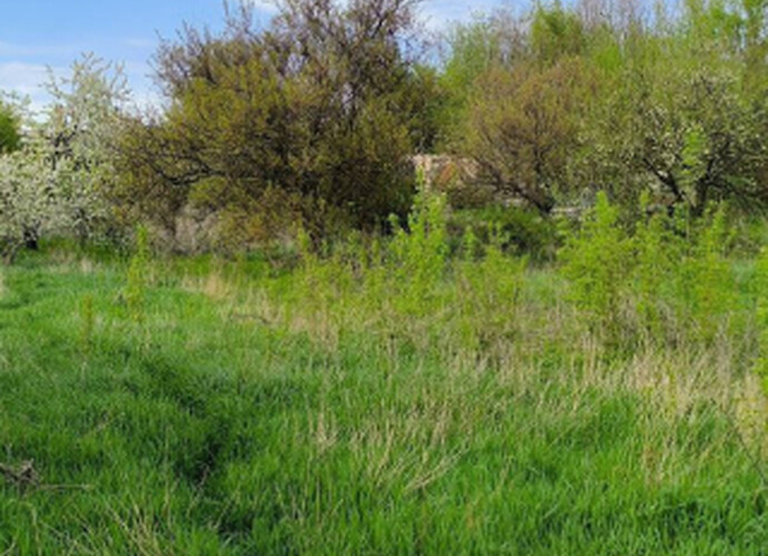 Продается участок в Приморском районе