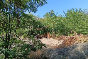 Продается участок в Центральном районе города