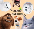Зоомагазин ЛАПКИ-ЦАРАПКИ на пер. Транспортный