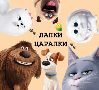 Зоомагазин ЛАПКИ-ЦАРАПКИ на пер. Транспортный