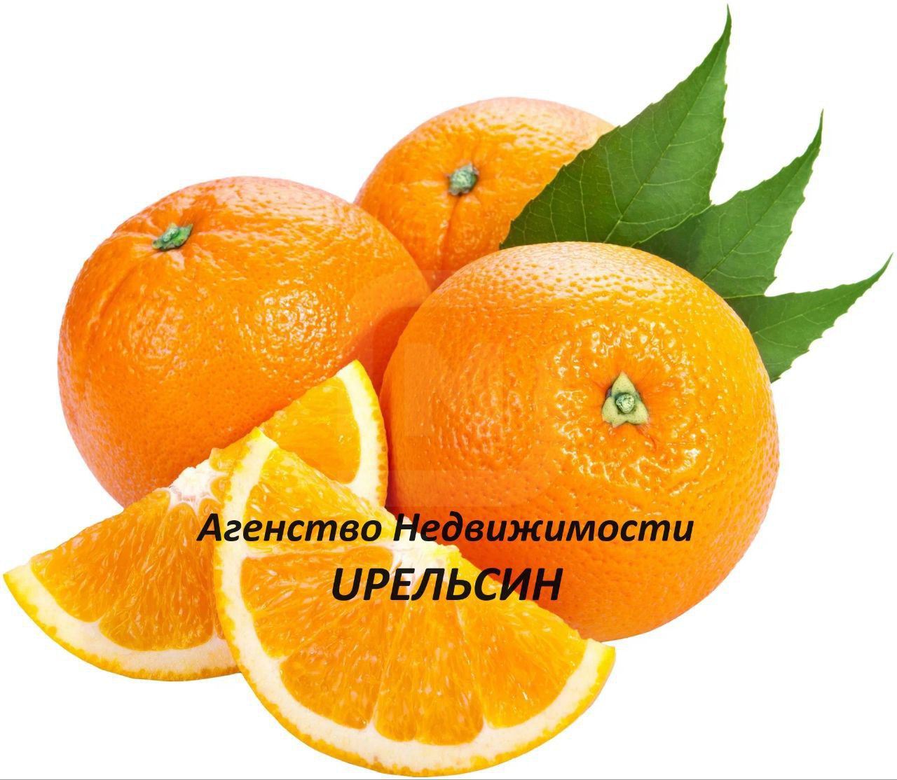 Агентство недвижимости АПЕЛЬСИН на пр. Строителей
