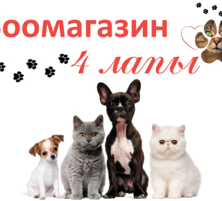 Зоомагазин «4 ЛАПЫ» на пр. Строителей , 60(рынок «Застава»)