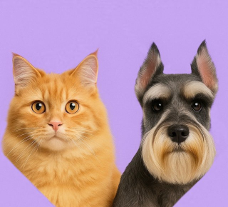 Груминг-салон ВАСИЛЕВС на ул. Гранитная