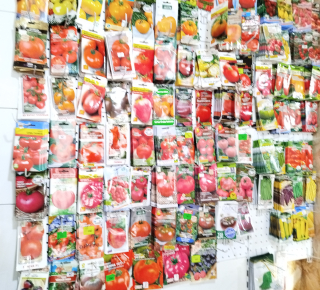 Семена томатов ( помидор )