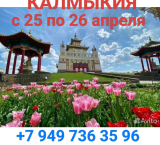 Тур в Калмыкию из Мариуполя