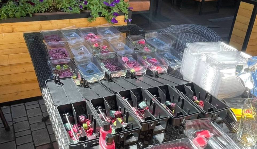 Дезинфенкция Дезинсекция Дератизация в Мариуполе. ЮР лицам скидка!